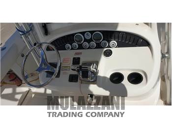 Boston Whaler OUTRAGE 320