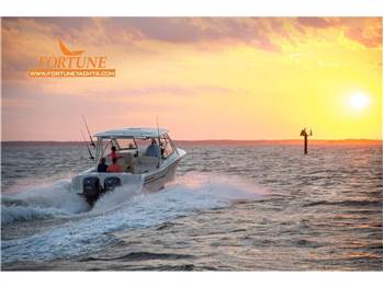 Grady White Boats 307 Freedom
