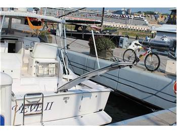 Blackfin 31 Combi