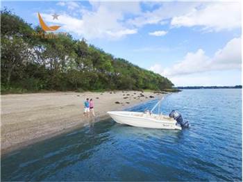 Scout Boats 175 SPORT DORADO
