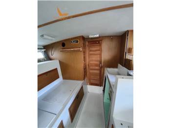 Magnum Marine 35