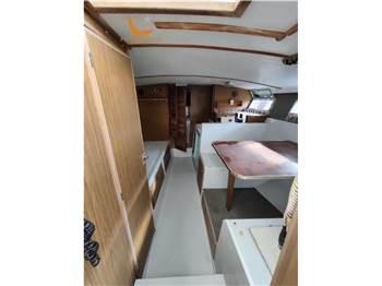 Magnum Marine 35
