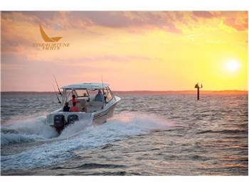 Grady White Boats 307 Freedom