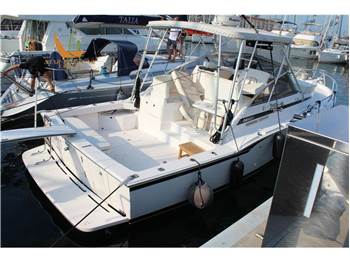 Blackfin 31 Combi