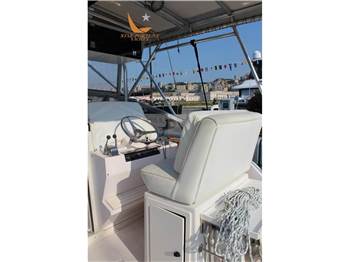 Blackfin 31 Combi