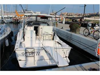 Blackfin 31 Combi
