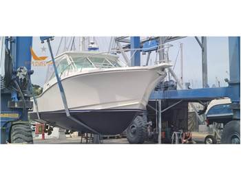 Cabo 31 Express