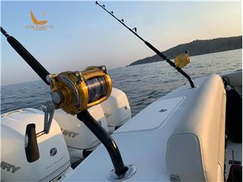 Boston Whaler OUTRAGE 380