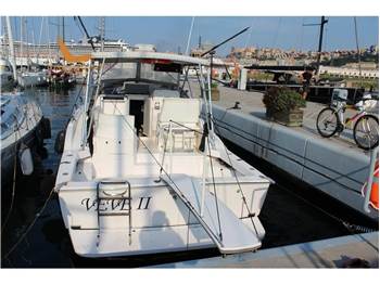 Blackfin 31 Combi