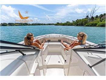 Scout Boats 288 Dorado