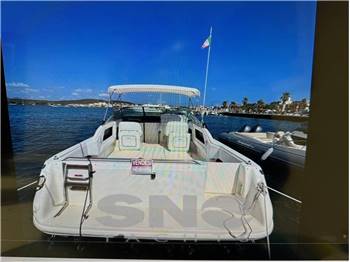 SEA RAY SEA RAY WEEKENDER 300