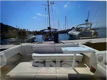 SEA RAY SEA RAY WEEKENDER 300