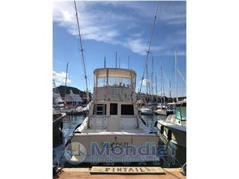 cabo 35 FLY