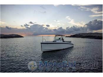 Delta powerboats T26