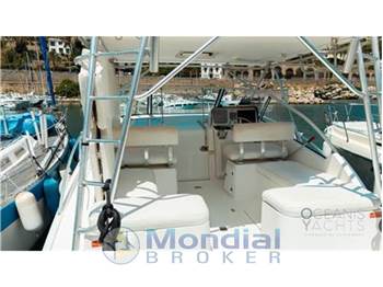 Luhrs 30 open