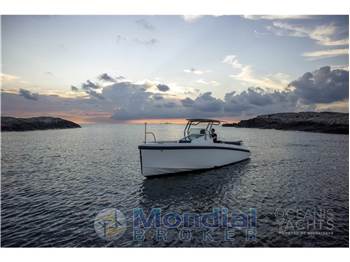 Delta Powerboats T26