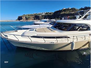 MOCHI DOLPHIN 51