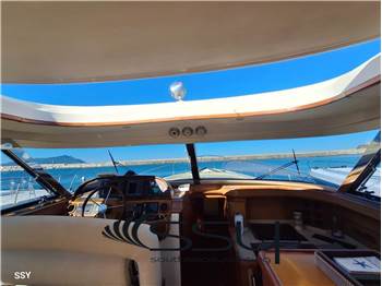 MOCHI DOLPHIN 51