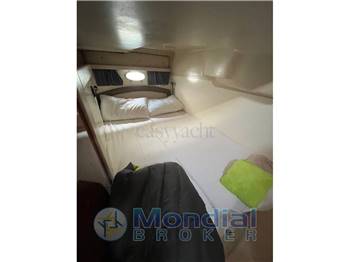 Salpa Laver 32.5