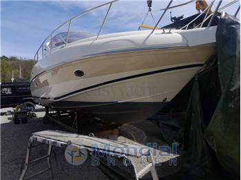 Salpa Laver 32.5