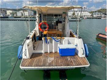 Rio Rio 800 Cabin Fish