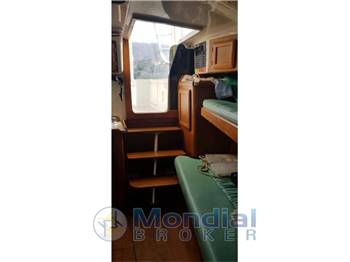 Luhrs Luhrs T-290 WA