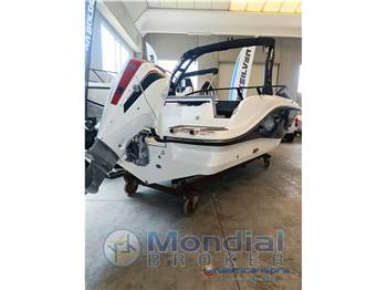 Bayliner V20