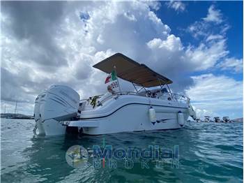 Ranieri International SHADOW 30