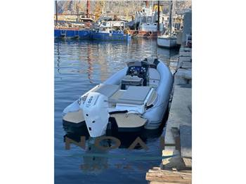 Noah Battelli Noah 29