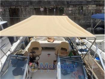 Boston Whaler Revenge 25 WT