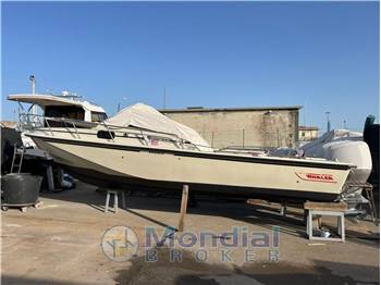 Boston Whaler Revenge 25 WT