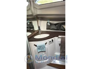 Salpa Soleil 33