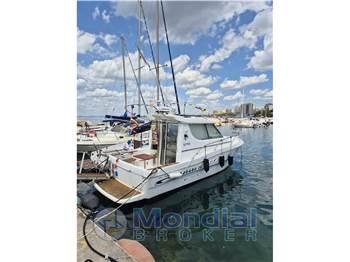 Sessa 28 Dorado