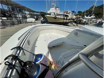 Robalo R 300 CC