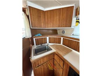 Bertram Yacht 33' SF