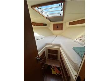 Bertram Yacht 33' SF