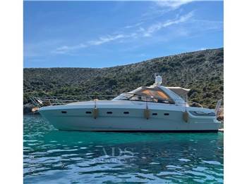 Bavaria Sport 43