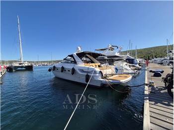 Bavaria Sport 43