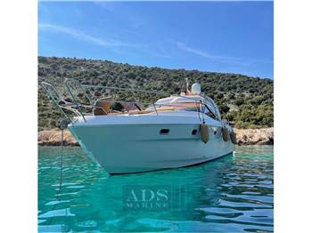 Bavaria Sport 43