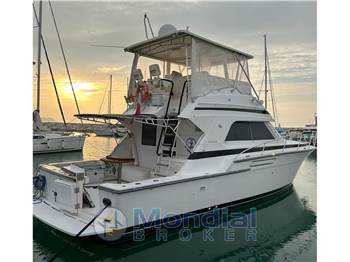 Bertram Yacht 43' Convertible