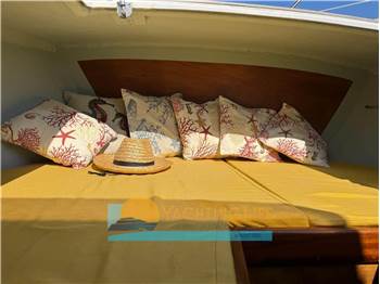 Sciallino SCIALLINO 23' Semi Cabin