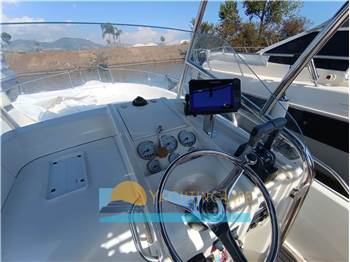White Shark 245