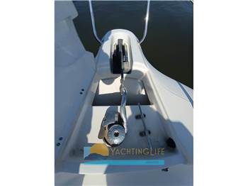 White Shark 245