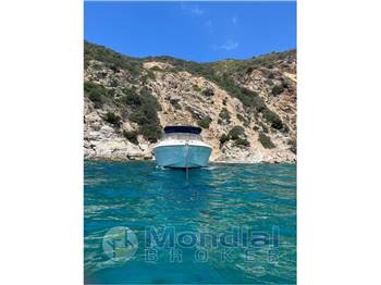 Cranchi Endurance 31