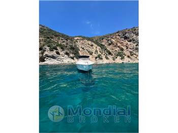 Cranchi Endurance 31