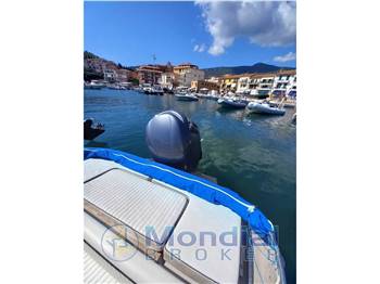 Boston Whaler 22 wd