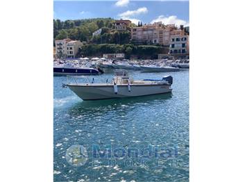 Boston Whaler 22 wd
