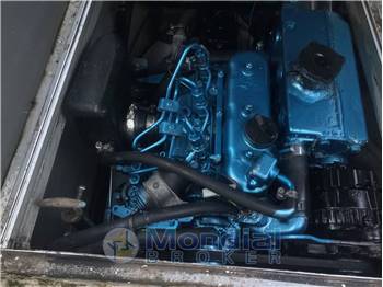 Mattia e Cecco Mattia T11