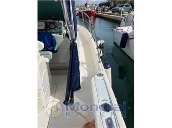 Faeton Moraga780