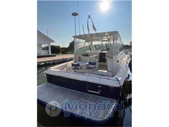 Cayman 40' Walk Around